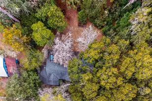 1723 NW 7th Ave, Gainesville, FL 32603 - Photo 46