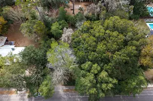 1723 NW 7th Ave, Gainesville, FL 32603 - Photo 38