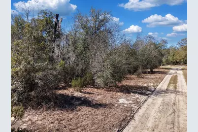 126th St, Bronson, FL 32621 - Photo 16