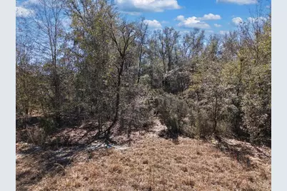 126th St, Bronson, FL 32621 - Photo 14