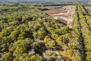 16319 NW 120th Pl, Alachua, FL 32615 - Photo 38