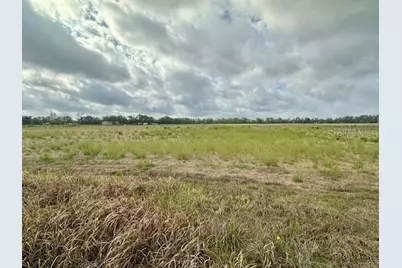 Sw 80th Street, Trenton, FL 32693 - Photo 6