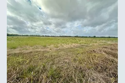 Sw 80th Street, Trenton, FL 32693 - Photo 6