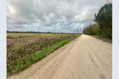 Sw 80th Street, Trenton, FL 32693 - Photo 10