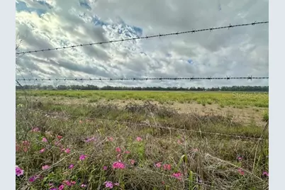 Sw 80th Street, Trenton, FL 32693 - Photo 1