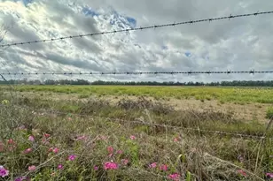 SW 80th St, Trenton, FL 32693 - Photo 1