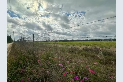 Sw 80th Street, Trenton, FL 32693 - Photo 2