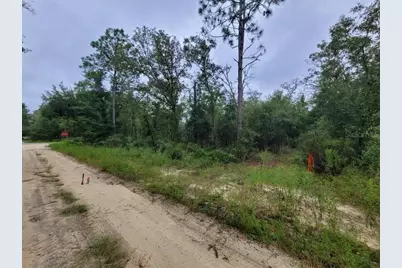 Tbd NE 120th Street, Bronson, FL 32621 - Photo 4