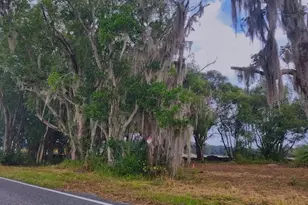 1250 Huntington Rd, Crescent City, FL 32112 - Photo 1