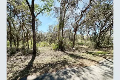 Tbd NW 110th Circle, Lot 3, Chiefland, FL 32626 - Photo 1