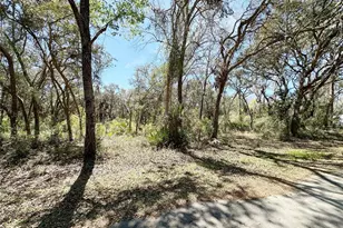 Tbd NW 110th Circle Lot 3, Chiefland, FL 32626 - Photo 1