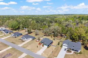 19780 NW 159th Pl, Alachua, FL 32615 - Photo 54