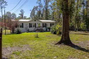 16564 NW 85th Terrace, Fanning Springs, FL 32693 - Photo 4