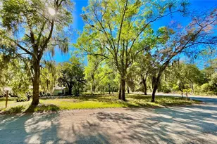 Lot 1 SE 16th St, Melrose, FL 32666 - Photo 8