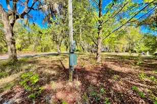 Lot 1 SE 16th St, Melrose, FL 32666 - Photo 6