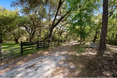 15311 SW 107th Street, Archer, FL 32618 - Photo 6