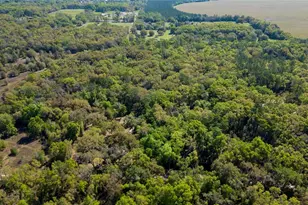 15311 SW 107th St, Archer, FL 32618 - Photo 52