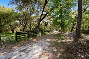 15311 SW 107th St, Archer, FL 32618 - Photo 6