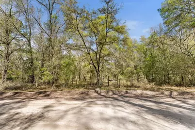 0 SE 91st Trail, Trenton, FL 32693 - Photo 12