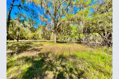 Lot 2 SE 16th Street, Melrose, FL 32666 - Photo 4