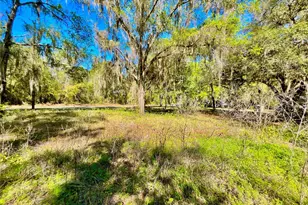 Lot 2 SE 16th St, Melrose, FL 32666 - Photo 4