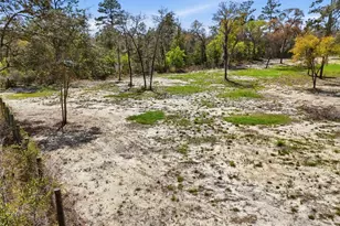 2231 SE 132nd Ct, Morriston, FL 32668 - Photo 38