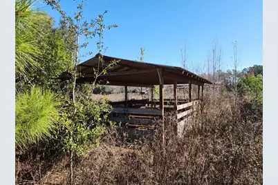 13195 NW 93rd Lane, Alachua, FL 32615 - Photo 26