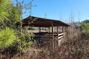 13195 NW 93rd Ln, Alachua, FL 32615 - Photo 26