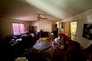 14051 NE 45th Pl, Williston, FL 32696 - Photo 10