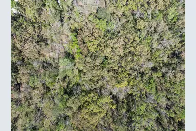 9311 86th Street, Live Oak, FL 32060 - Photo 10