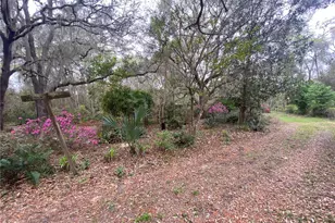 119 Twin Lakes Rd, Hawthorne, FL 32640 - Photo 8