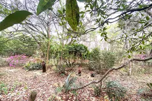 119 Twin Lakes Rd, Hawthorne, FL 32640 - Photo 10