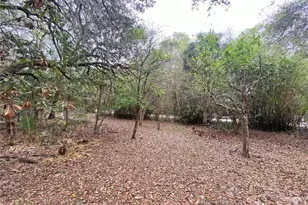 119 Twin Lakes Rd, Hawthorne, FL 32640 - Photo 64