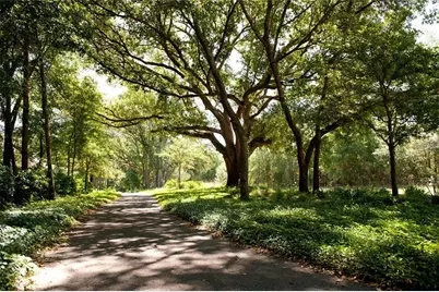 271 SW 129th Terrace, Newberry, FL 32669 - Photo 72