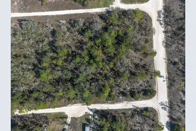 000 NE 64th Place, Williston, FL 32696 - Photo 10