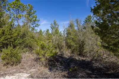 000 NE 64th Place, Williston, FL 32696 - Photo 2