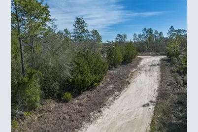 000 NE 64th Place, Williston, FL 32696 - Photo 4