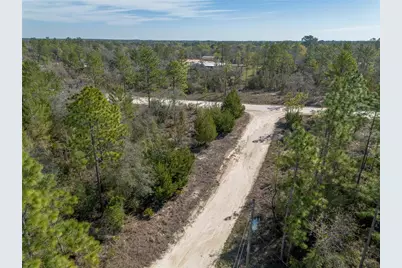 000 NE 64th Place, Williston, FL 32696 - Photo 6