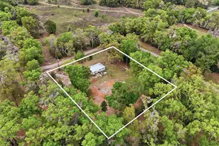 14285 SW 174th St, Archer, FL 32618 - Photo 22