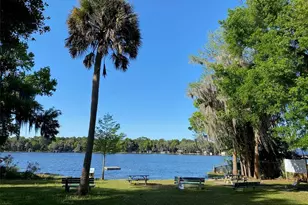 25415 NE State Rd 26, Melrose, FL 32666 - Photo 42