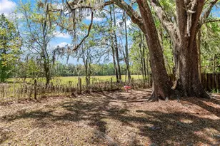 10219 NW 4th Pl, Gainesville, FL 32607 - Photo 28