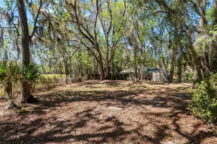 10219 NW 4th Pl, Gainesville, FL 32607 - Photo 14