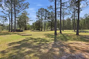 14646 NW 93rd Ln, Lake Butler, FL 32054 - Photo 52