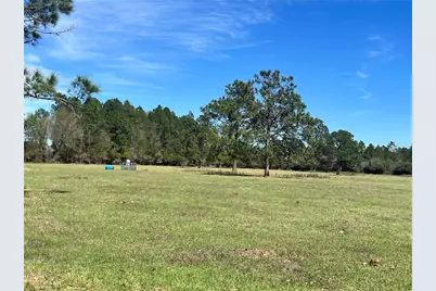 14182 SW 161st St, Brooker, FL 32622 - Photo 4