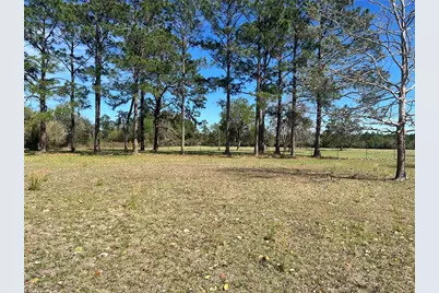 14182 SW 161st St, Brooker, FL 32622 - Photo 8