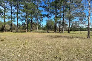 14182 SW 161st St, Brooker, FL 32622 - Photo 8