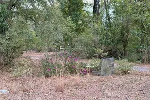 2410 NW 117th Pl, Branford, FL 32008 - Photo 50