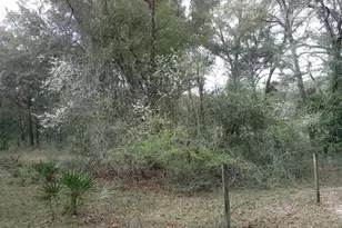 2410 NW 117th Pl, Branford, FL 32008 - Photo 48