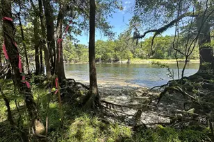 2410 NW 117th Pl, Branford, FL 32008 - Photo 6