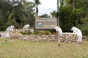 11651 NW 127th Ln, Chiefland, FL 32626 - Photo 54